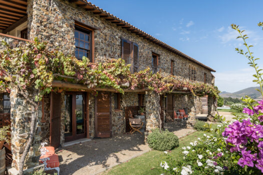 Tuscan-style Villa on a Wine and Olive farm in the Cape Winelands of Stellenbosch, South Africa