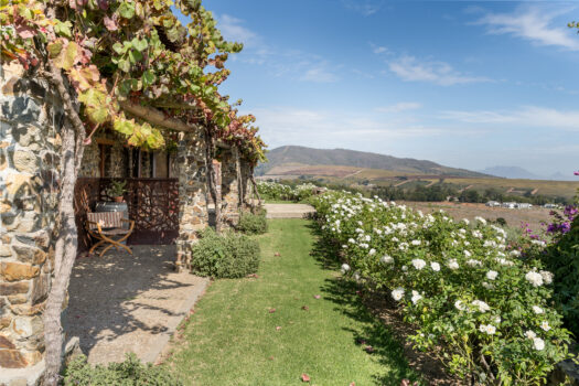 Tuscan-style Villa on a Wine and Olive farm in the Cape Winelands of Stellenbosch, South Africa