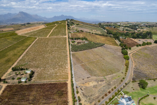 Tuscan-style Villa on a Wine and Olive farm in the Cape Winelands of Stellenbosch, South Africa