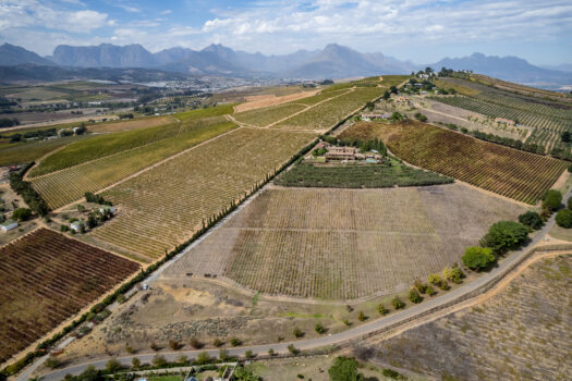 Tuscan-style Villa on a Wine and Olive farm in the Cape Winelands of Stellenbosch, South Africa
