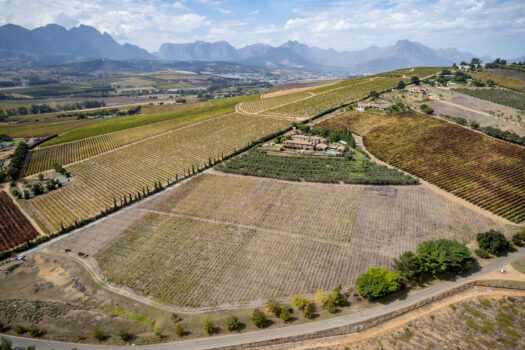 Tuscan-style Villa on a Wine and Olive farm in the Cape Winelands of Stellenbosch, South Africa