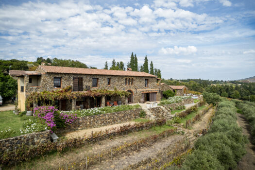 Tuscan-style Villa on a Wine and Olive farm in the Cape Winelands of Stellenbosch, South Africa