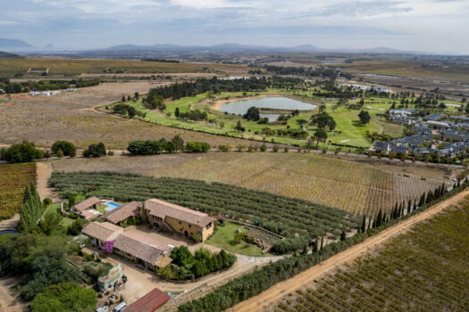 Tuscan-style Villa on a Wine and Olive farm in the Cape Winelands of Stellenbosch, South Africa