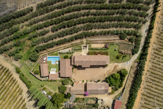 Tuscan-style Villa on a Wine and Olive farm in the Cape Winelands of Stellenbosch, South Africa